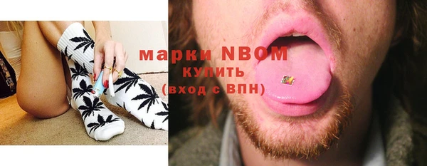 МДПВ Новозыбков