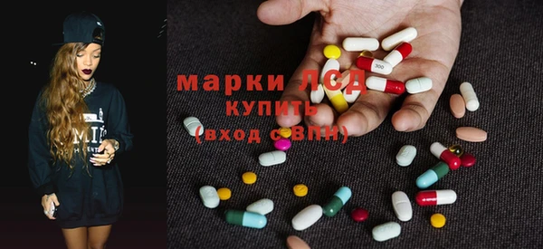 МДПВ Новозыбков