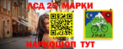 спайс Гагарин