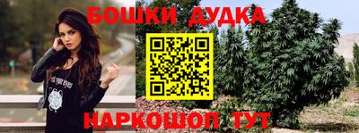 спайс Гагарин
