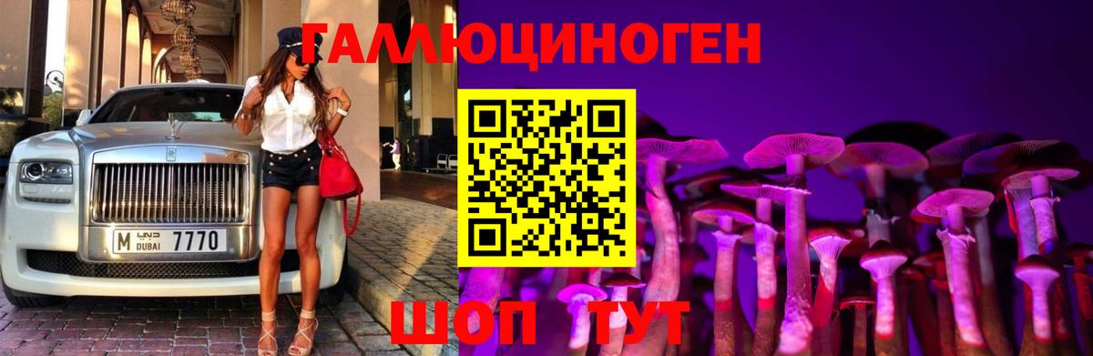 наркота  Псилоцибиновые грибы Psilocybine cubensis  Вход с VPN  Псилоцибиновые грибы ЛСД  Миллерово 